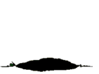 Gif animé taupe lunettes